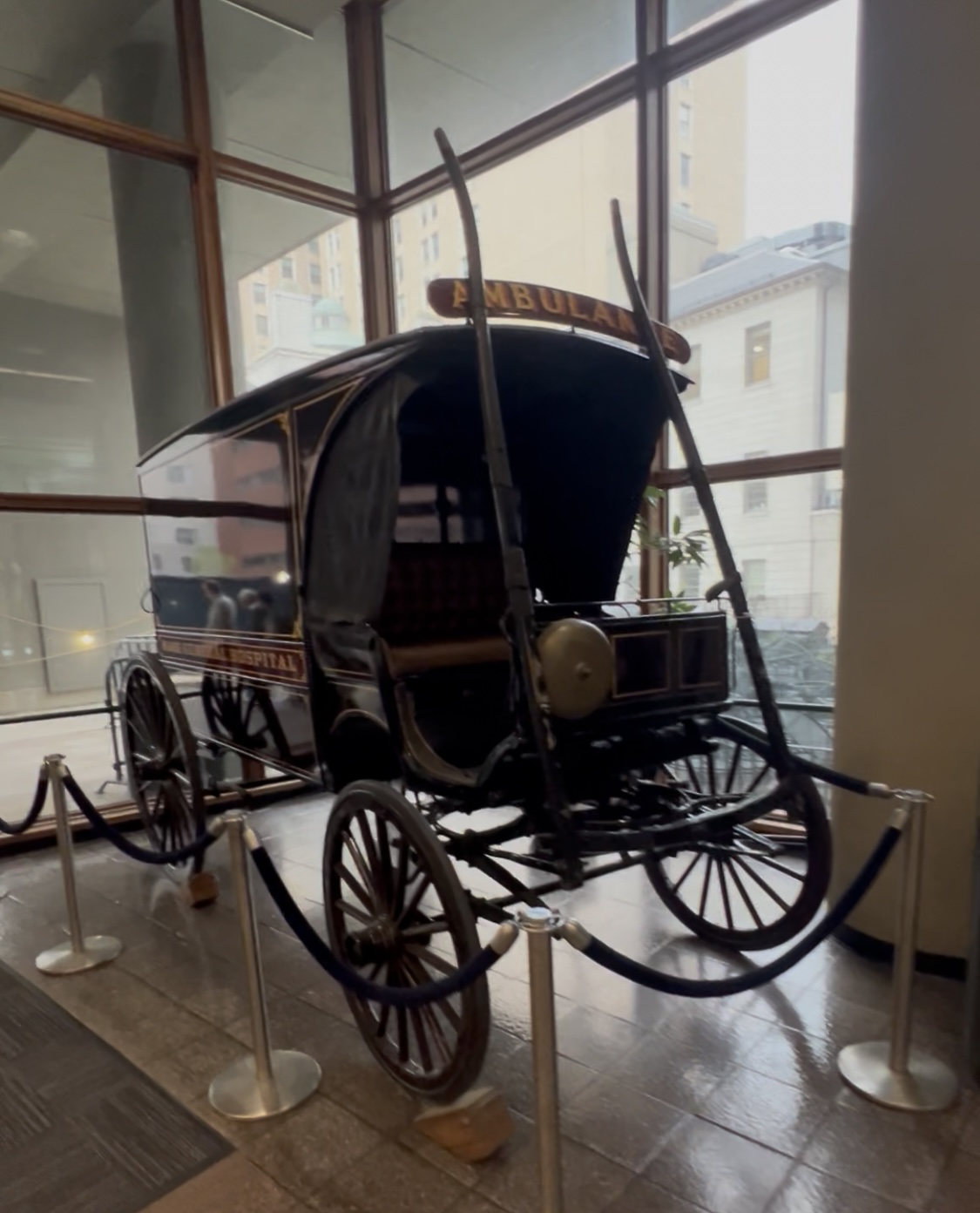 img-5740-001.jpeg